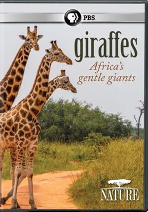 Giraffes: Africa's Gentle Giants image number 0