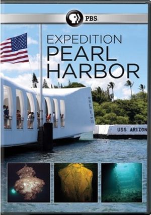 Pearl Harbor: Into the Arizona image number 0