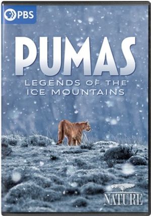 Nature: Pumas Legends of the Ice Mountains image number 0