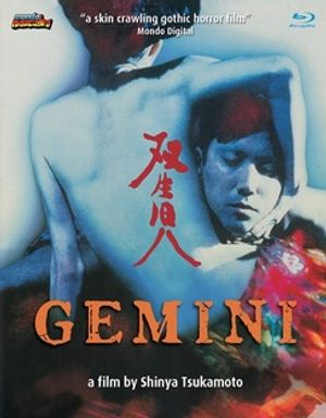 Gemini image number 0