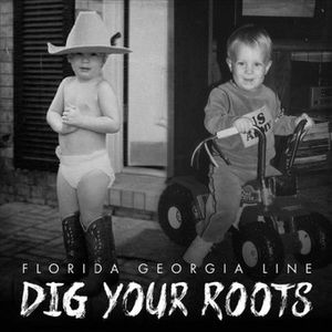 Dig Your Roots (2 Lp) image number 0