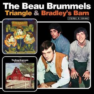 Trinagle / Brandley's Barn image number 0