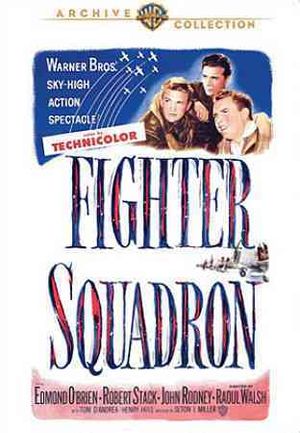 Fighter Squadron image number 0