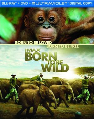 Born to Be Wild (Imax) image number 0