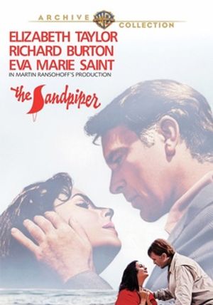 The Sandpiper image number 0