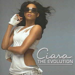 Evolution image number 0