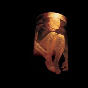 Nothing Safe; Best of Alice in Chains image number 0