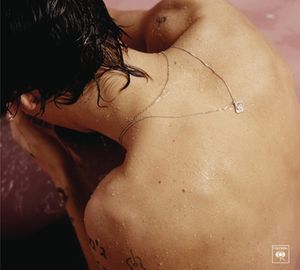 Harry Styles image number 0