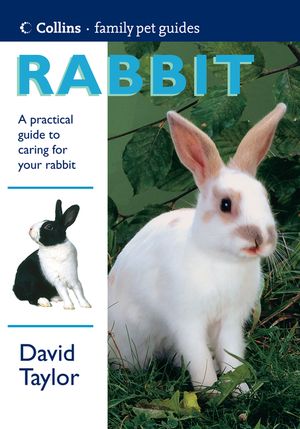 Collins Family Pets: Rabbit image number 0