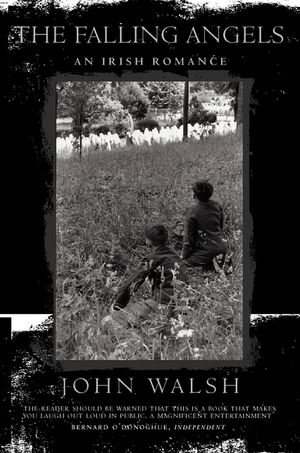 The Falling Angels image number 0