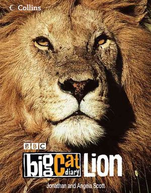 Lion image number 0