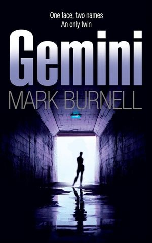 Gemini image number 0