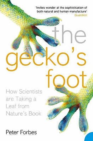 The Gecko's Foot image number 0