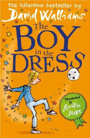 Boy in the Dress image number 0