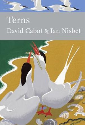 Terns image number 0