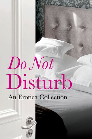 Do Not Disturb: An Erotica Collection image number 0
