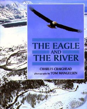 The Eagle and the River image number 0