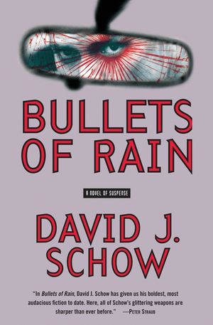 Bullets of Rain image number 0