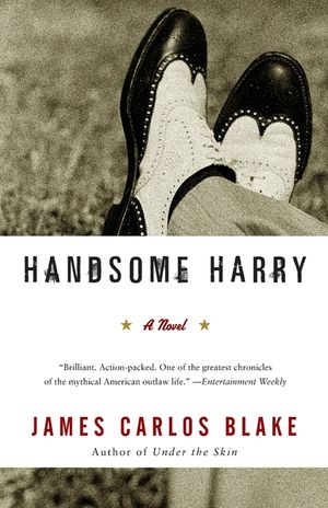Handsome Harry image number 0