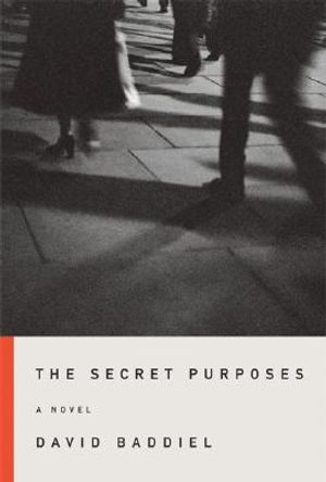 The Secret Purposes image number 0