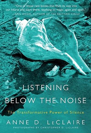 Listening Below the Noise: The Transformative Power of Silence image number 0
