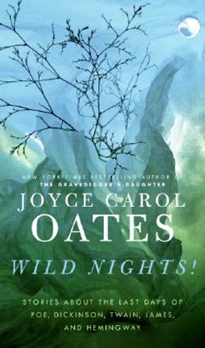 Wild Nights!: Stories about the Last Days of Poe, Dickinson, Twain, James, and Hemingway image number 0