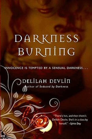 Darkness Burning image number 0