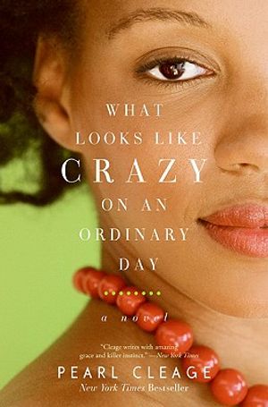 What Looks Like Crazy on an Ordinary Day image number 0