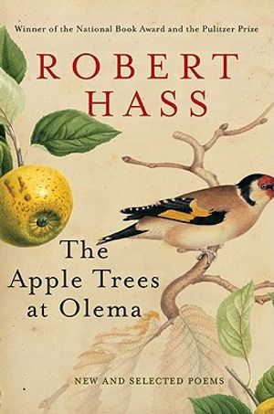 The Apple Trees at Olema: A Novel of Suspense image number 0