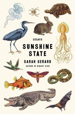 Sunshine State: Essays image number 0
