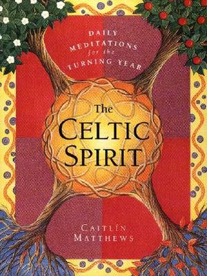 The Celtic Spirit: Daily Meditations for the Turning Year image number 0