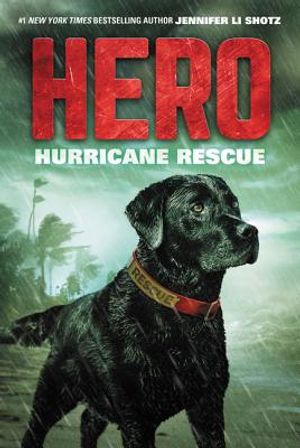 Hero: Hurricane Rescue image number 0
