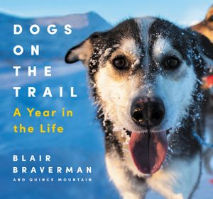 Dogs on the Trail: A Year in the Life image number 0