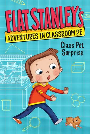 Flat Stanley Adventures in Classroom 2e image number 0