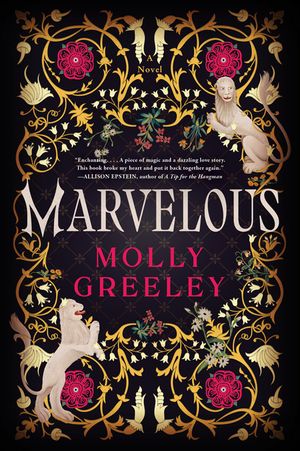 Marvelous: A Novel of Wonder and Romance in the French Royal Court image number 0