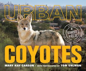Urban Coyotes image number 0