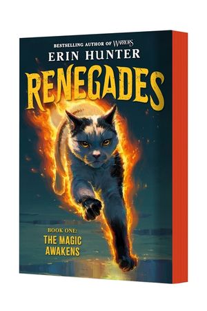Renegades #1: The Magic Awakens image number 0