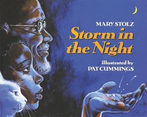 Storm in the Night image number 0