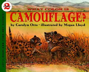 What Color Is Camouflage? image number 0