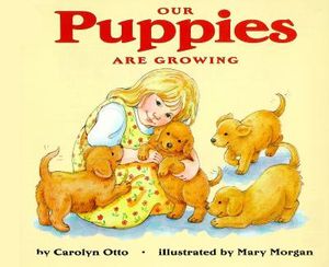 Our Puppies Are Growing image number 0