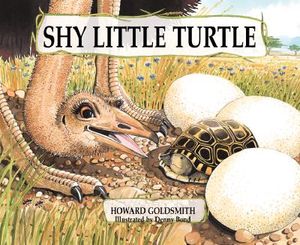 Shy Little Turtle image number 0