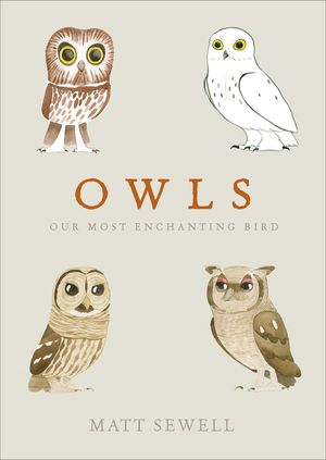 Owls: Our Most Enchanting Bird image number 0
