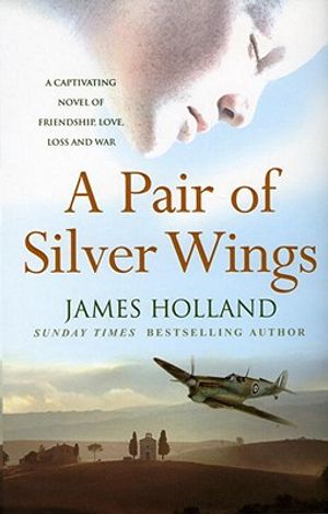 A Pair of Silver Wings image number 0