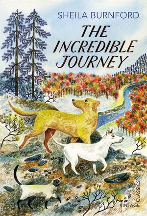 The Incredible Journey image number 0