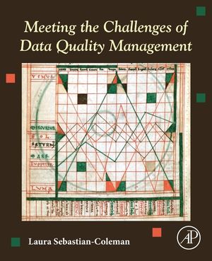Meeting the Challenges of Data Quality Management image number 0