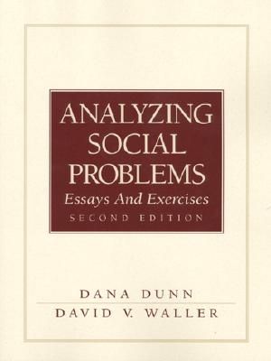 Analyzing Social Problems: Essays and Exercises image number 0