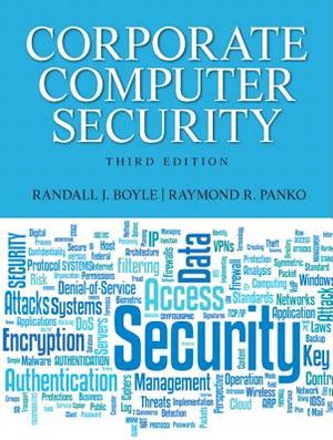 Corporate Computer Security image number 0