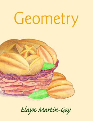 Geometry image number 0