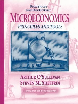 Microeconomics : Principles and Tools : Practicum image number 0