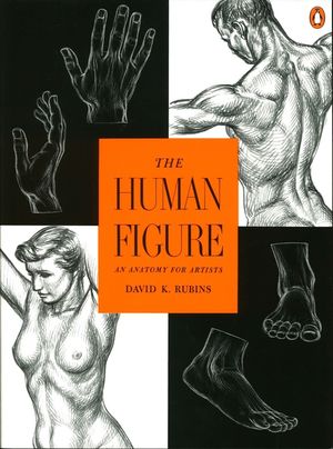 The Human Figure: An Anatomy for Artists image number 0